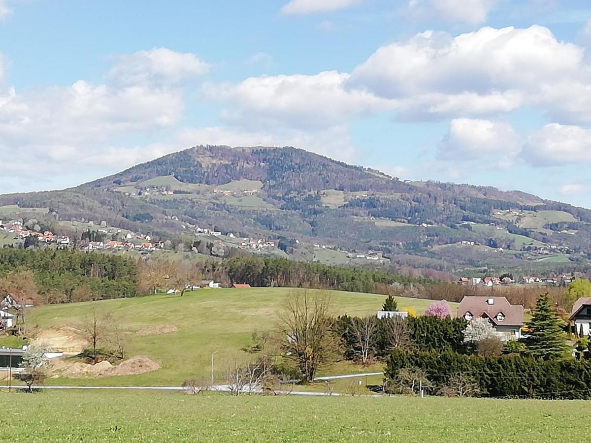Ferienwohnung Wachmann Rohrbach am Kulm الغرفة الصورة